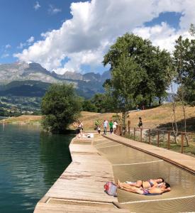 Chalets Fizhome Mt Blanc PLATEAU D'ASSY 511 Avenue du Docteur Jacques Arnaud 74190 Passy Rhône-Alpes