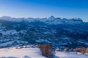 IMMOBILIER DE MONTAGNE - LA COLLECTION - LA PRINCESSE