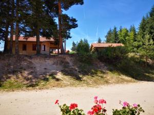 Chalets L'Orée du Pichier Les Pichiers 43500 Boisset Auvergne