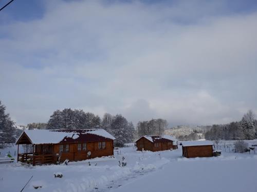 chalets les 5 loups Gerbépal france