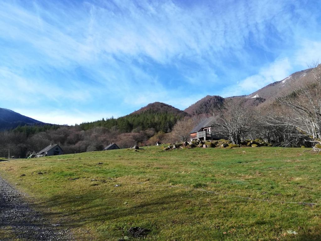 Les chalets de la forêt d'Issaux Route Départementale 341, 64490 Osse-en-Aspe