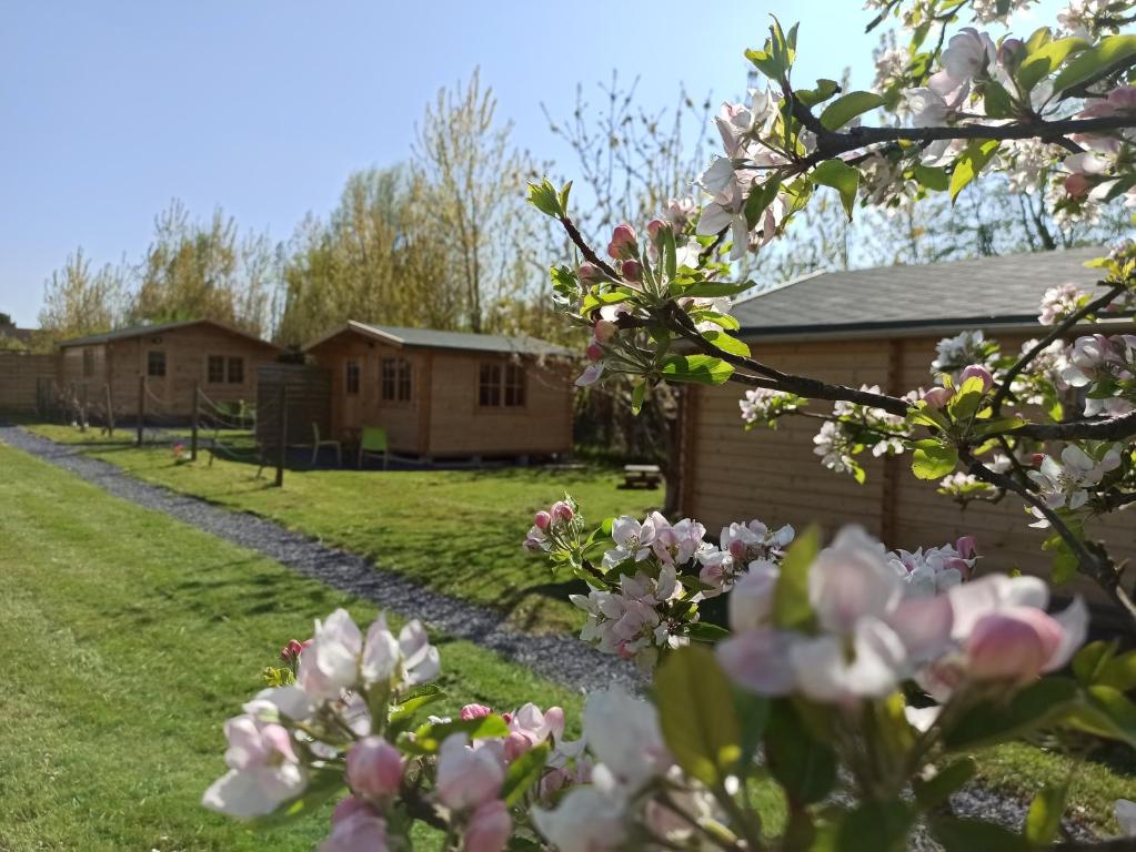 Les chalets du Fliers Location de vacances à la Mer - en Chalets BERCK SUR MER 20 Rue des Petites Neuvilles, 62180 Verton