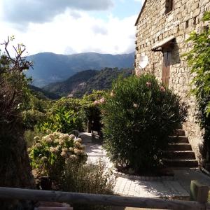 les chalets et gite du haut taravo