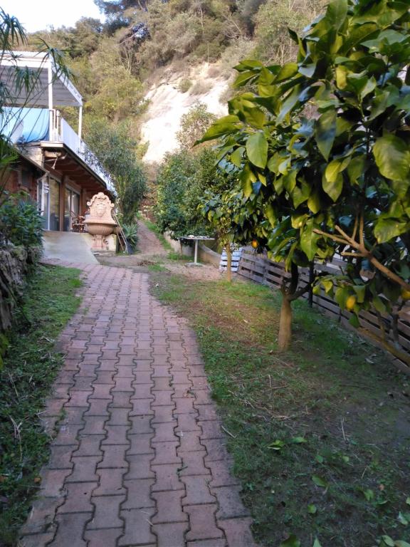 Chalets OASIS 8 Chemin des Mimosas 06500 Menton