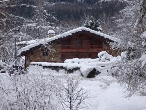 Ski Breezy Chalet