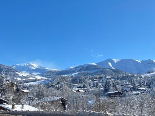 Chaleureux appartement rénové ambiance chalet Praz-sur-Arly france