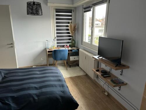 Séjour chez l'habitant chambre avec salle de bain privée 7 Rue du Cerf Illkirch-Graffenstaden