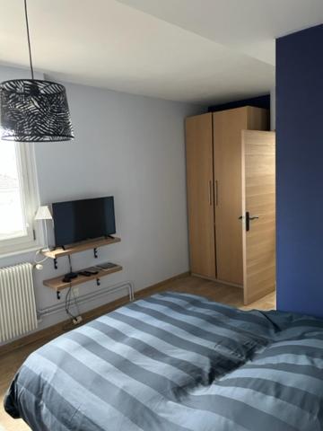 Séjour chez l'habitant chambre avec salle de bain privée 7 Rue du Cerf, 67400 Illkirch-Graffenstaden