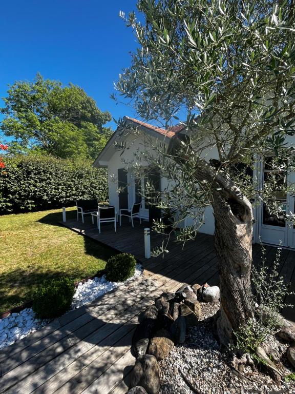 Maison d'hôtes Chambre avec salle de bain privée de la Canopée de Mios 6 Allée du Zingueur, 33380 Mios