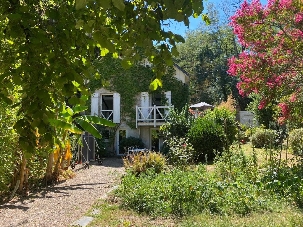 Séjour chez l'habitant Chambre bananier: maison arborée face à la rivière 4 La Ramée, 44690 Saint-Fiacre-sur-Maine