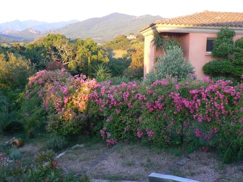 Chambre d'hote Casa Tozza Porticcio france