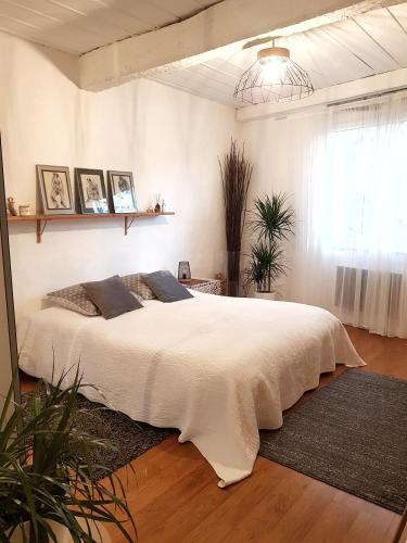 B&B / Chambre d'hôtes Chambre d hotes \ 5 rue du boeuf Barjols