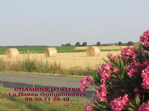 Chambre D'hôtes La Basse Gougeonnière Neuvy-en-Mauges france