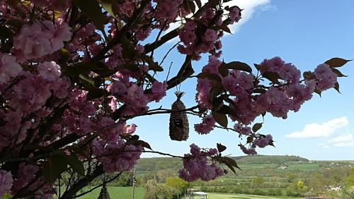 Chambre d'hôtes la Gâtine Margon france