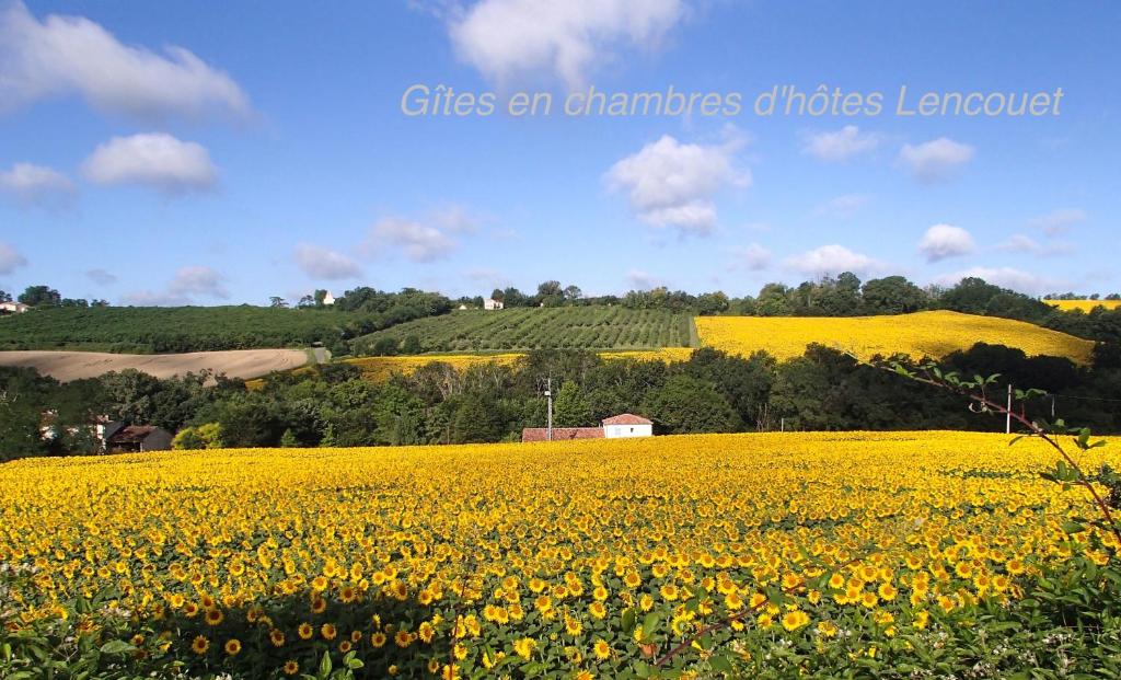 B&B / Chambre d'hôtes Chambre d'hotes Lencouet Lencouet, 47230 Feugarolles