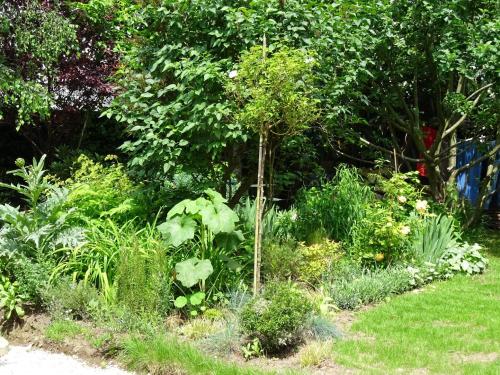 B&B / Chambre d'hôtes Chambre d'hôtes sur jardin acces PMR 17 Rue des Bons Enfants Caen