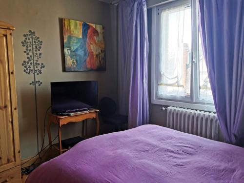 Séjour chez l'habitant chambre privée ds maison 25 Rue de Rivoli Saint-Amand-les-Eaux