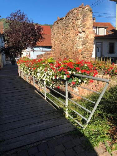 Chambre spacieuse dans joli village alsacien Châtenois france