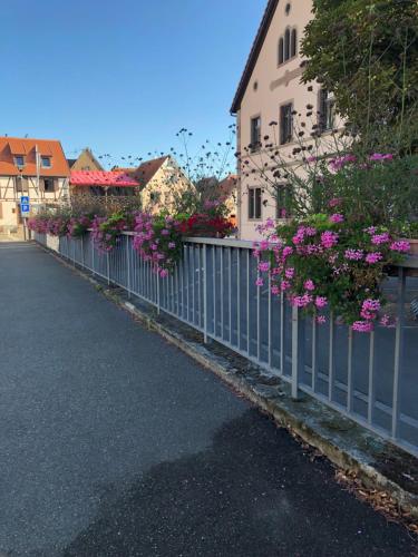 B&B / Chambre d'hôtes Chambre spacieuse dans joli village alsacien 2 rue de La Montagne Châtenois