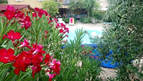 Chambre studio cuisine indépendant 2 pers piscine Rousson france