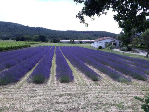 B&B / Chambre d'hôtes Chambre Vladie 7 Rue Alexandre Pontaimery Montélimar