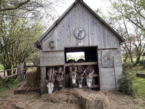 Chambres d'Hôtes Côté Campagne Vaux-sur-Aure france