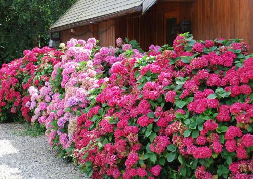 Chambres d'hotes du creulet Crouay france