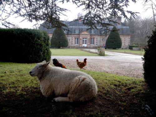 Maison d'hôtes Chambres d'hôtes La Bourbelle La Bourbelle Neufmoutiers-en-Brie