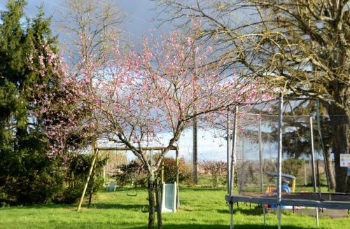 Chambres d'Hôtes La Prévôté Périssac france