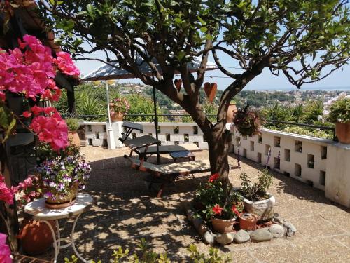 Chambres d'hôtes Les Terrasses du Soleil Cagnes-sur-Mer france