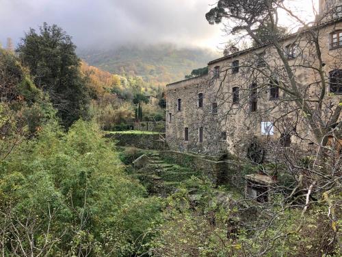 Chambres d'hôtes - Mulino nannaré Ville-di-Paraso france