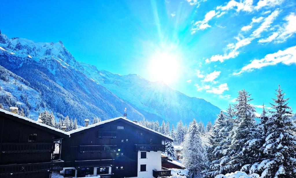 Appartement Chamonix superbe appartement vue Mont Blanc 299 Chemin de Champraz, 74400 Chamonix-Mont-Blanc