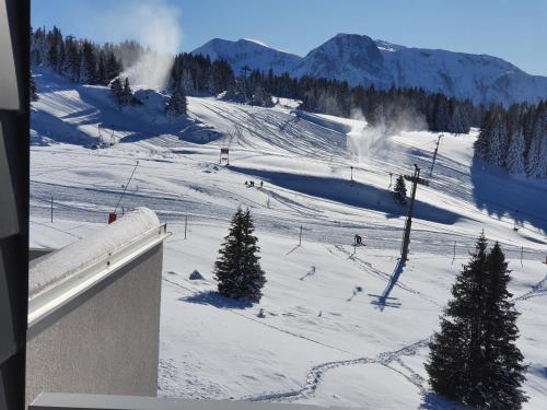 Appartement Chamrousse 1750 Roche Béranger 50m2 4-6pers Vue panoramique 390 Route de la Croisette Chamrousse