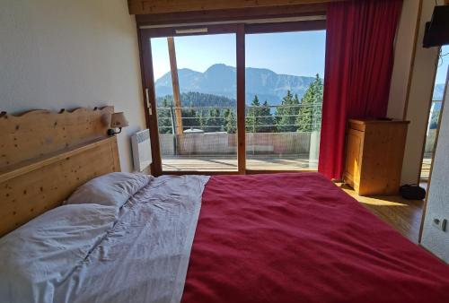 CHAMROUSSE-SPORT&DETENTE appartement 6 couchages avec superbe vue Chamrousse france