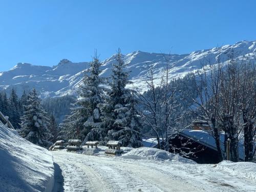 Chalet CHARMANT CHALET TOUT NEUF a MERIBEL Route de Morel Les Allues