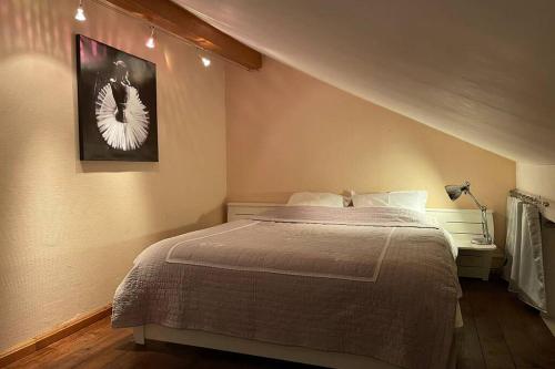 Appartement Charmant Duplex, à 10 min de là frontière, Ornex 65 Rue des Bois Ornex
