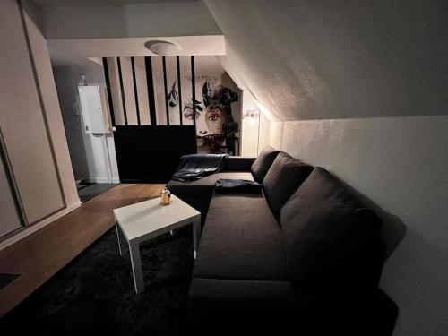 Appartement Charmant F1 à Strasbourg avec parking privé 159 Rue Boecklin Strasbourg