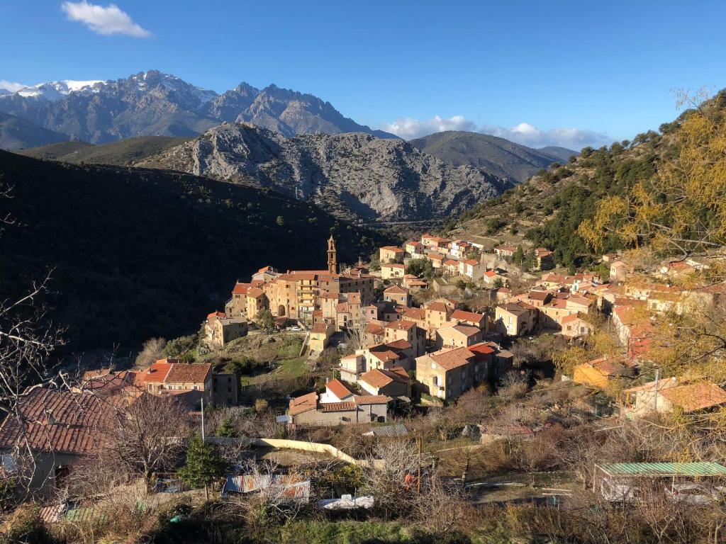 Appartement Charmant F2 dans joli village Corse piazzola, 20236 Omessa