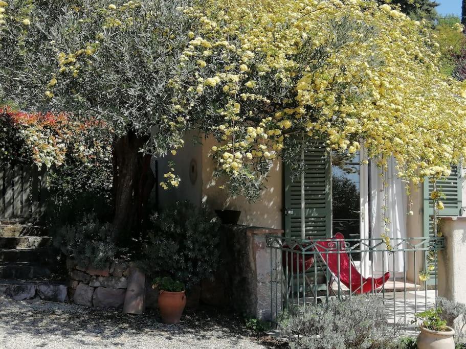 Maison de vacances Charmant logement provençal avec piscine à deux pas du village médieval Route de Mons, 83440 Seillans