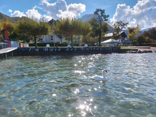 Charmant studio en rez de jardin au bord du lac d’Annecy Duingt france