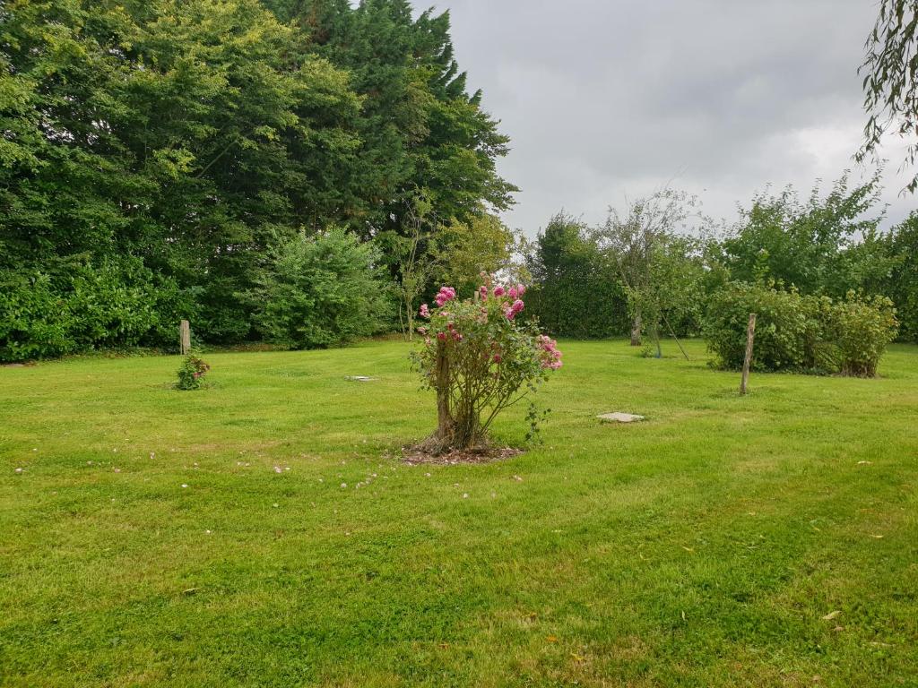 Maison de vacances Charmante maison dans un parc de près de 3ha 1487 Rte D’Ouilly Albatros-Moyaux, 14590 Moyaux