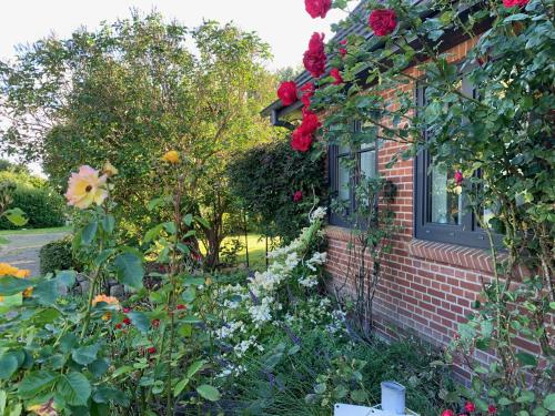 Charmantes Haus mit zwei Ferienwohnungen und großem Garten in Aventoft - Enjoy! Aventoft allemagne