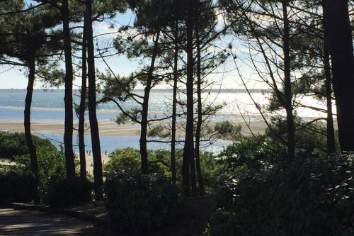 Charme assuré pour ce logement idéalement situé Arcachon france