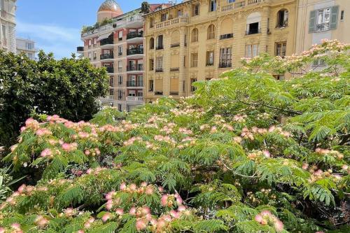 Charming apartment Nice Centre Nice france