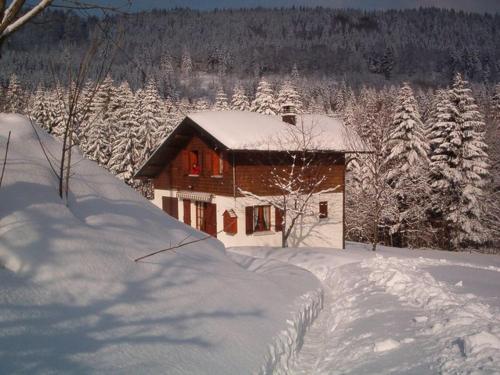 Charming Chalet in Ventron with Terrace Ventron france