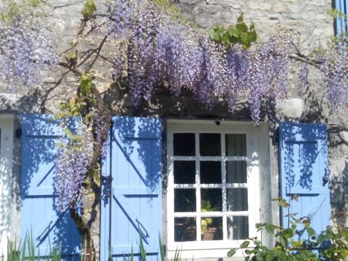 B&B / Chambre d'hôtes Chat Noir Gite et Chambre D'Hotes Les Rechers Génouillé