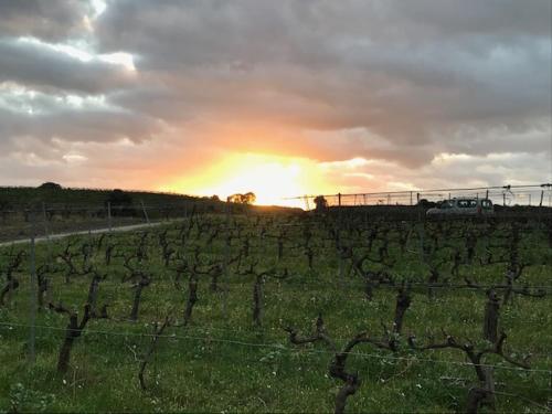 Château Autignac Autignac france