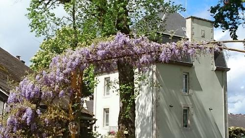 Château Bily B&B Hôtel La Chèze france