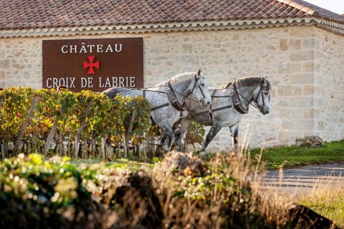 CHATEAU CROIX DE LABRIE Saint-Émilion france