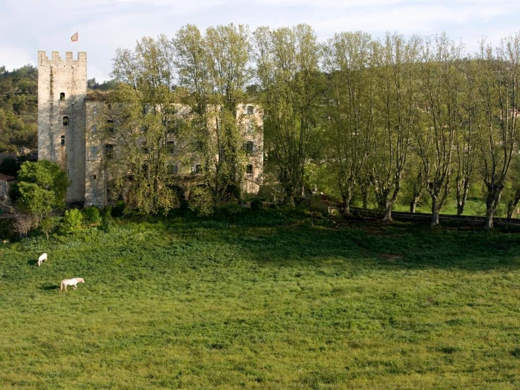 Maisons de vacances Château d'Esparron Quartier de Vières, 04800 Esparron-de-Verdon